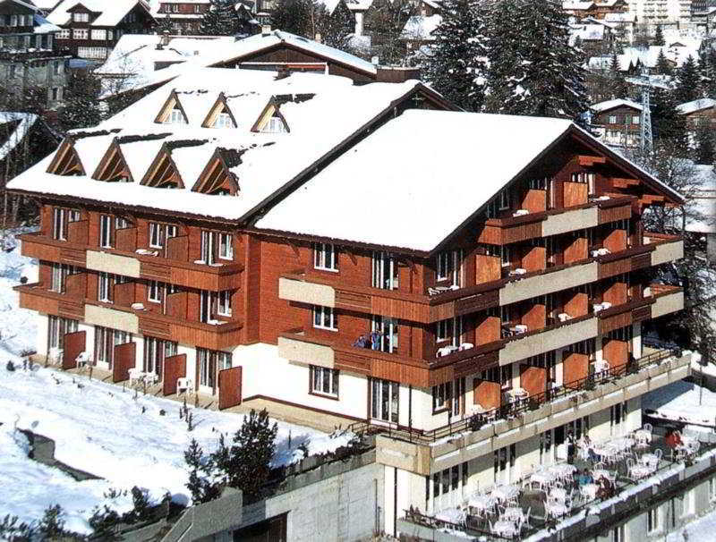 Hotel Steinmattli Adelboden Esterno foto